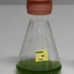 【画像】【温暖化対策2024】地球温暖化防止のために、トラックはどんな方法でカーボンニュートラルを目指す? 〜 画像4