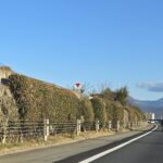 【画像】高速道路のこのマークって何？ 〜 画像3