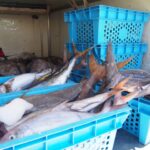 【画像】冷凍車と保冷車は何が違う？ 〜 画像6