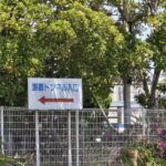 【画像】港はトラックに優しい場所だった 〜 画像22