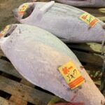 【画像】冷凍車、冷蔵車、保冷車。この違い知っていますか？　　 〜 画像1