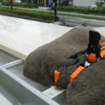 【画像】ラッシングベルトなくして固定なし 〜 画像4