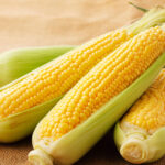 【画像】地球環境にやさしいLPG・CNG・水素・バイオ燃料とは？ 〜 画像1