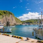 【画像】おさかな天国　漁港にまつわる雑学あれこれ 〜 画像1