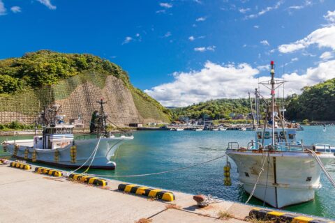 おさかな天国　漁港にまつわる雑学あれこれ