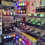 【画像】トラックのカスタムってどんなもの？　法律はどうなってるの？ 〜 画像1