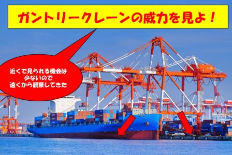ガントリークレーンの仕事っぷりを見よ！【動画】