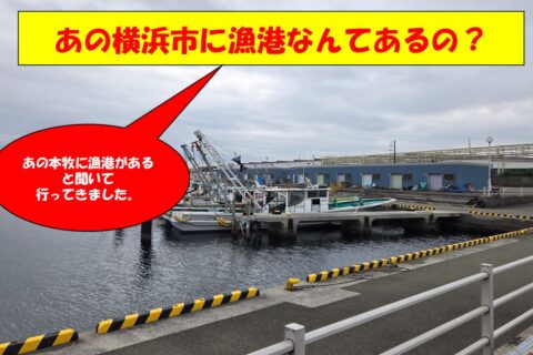 そこに漁港があるなら行くしかないだろう【動画】