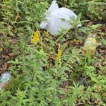 【画像】トラックドライバーのトイレ問題 〜 画像2