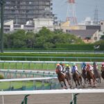 【画像】繊細な競走馬を運ぶ馬運車って普通のトラックやバスと違うの？ 〜 画像3
