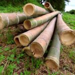 【画像】トラックは金属とプラスチックとゴムの塊じゃなかった 〜 画像2