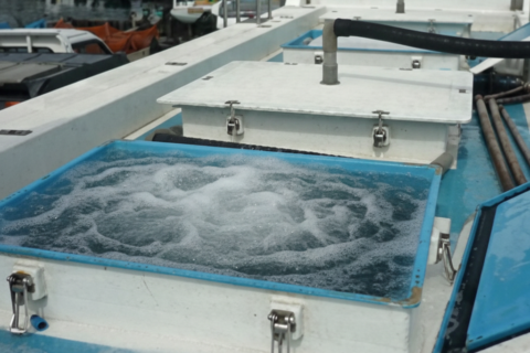 じつはとんでもなくすごい活魚運搬車のハナシ