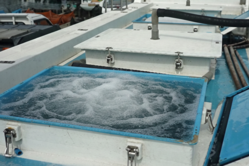 じつはとんでもなくすごい活魚運搬車のハナシ