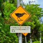 【画像】見過ごしてるのはもったいない「動物注意標識」 〜 画像10