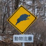 【画像】見過ごしてるのはもったいない「動物注意標識」 〜 画像5
