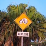 【画像】見過ごしてるのはもったいない「動物注意標識」 〜 画像6