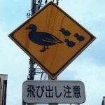 【画像】見過ごしてるのはもったいない「動物注意標識」 〜 画像7