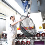 【画像】「走る水槽」活魚運搬車の驚くべき構造と機能 〜 画像6