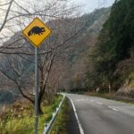 【画像】見過ごしてるのはもったいない「動物注意標識」 〜 画像3