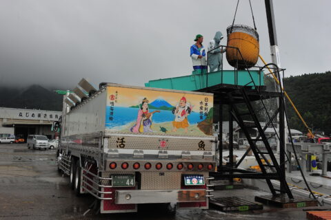 「走る水槽」活魚運搬車の驚くべき構造と機能