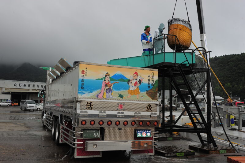 「走る水槽」活魚運搬車の驚くべき構造と機能