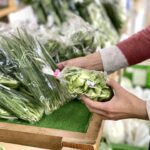 【画像】【畑から売り場への裏舞台】ただ新鮮なだけじゃない！道の駅の直売野菜を支える「軽トラと小さな地域物流」の段取り力 〜 画像5