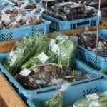 【画像】【畑から売り場への裏舞台】ただ新鮮なだけじゃない！道の駅の直売野菜を支える「軽トラと小さな地域物流」の段取り力 〜 画像2