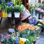 【画像】花は荷物になっても生きている。切り花を枯らさず届ける物流 〜 画像3