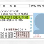 【画像】運転免許の種類とは？第一種・第二種・仮免の違いと2種免許を解説 〜 画像2